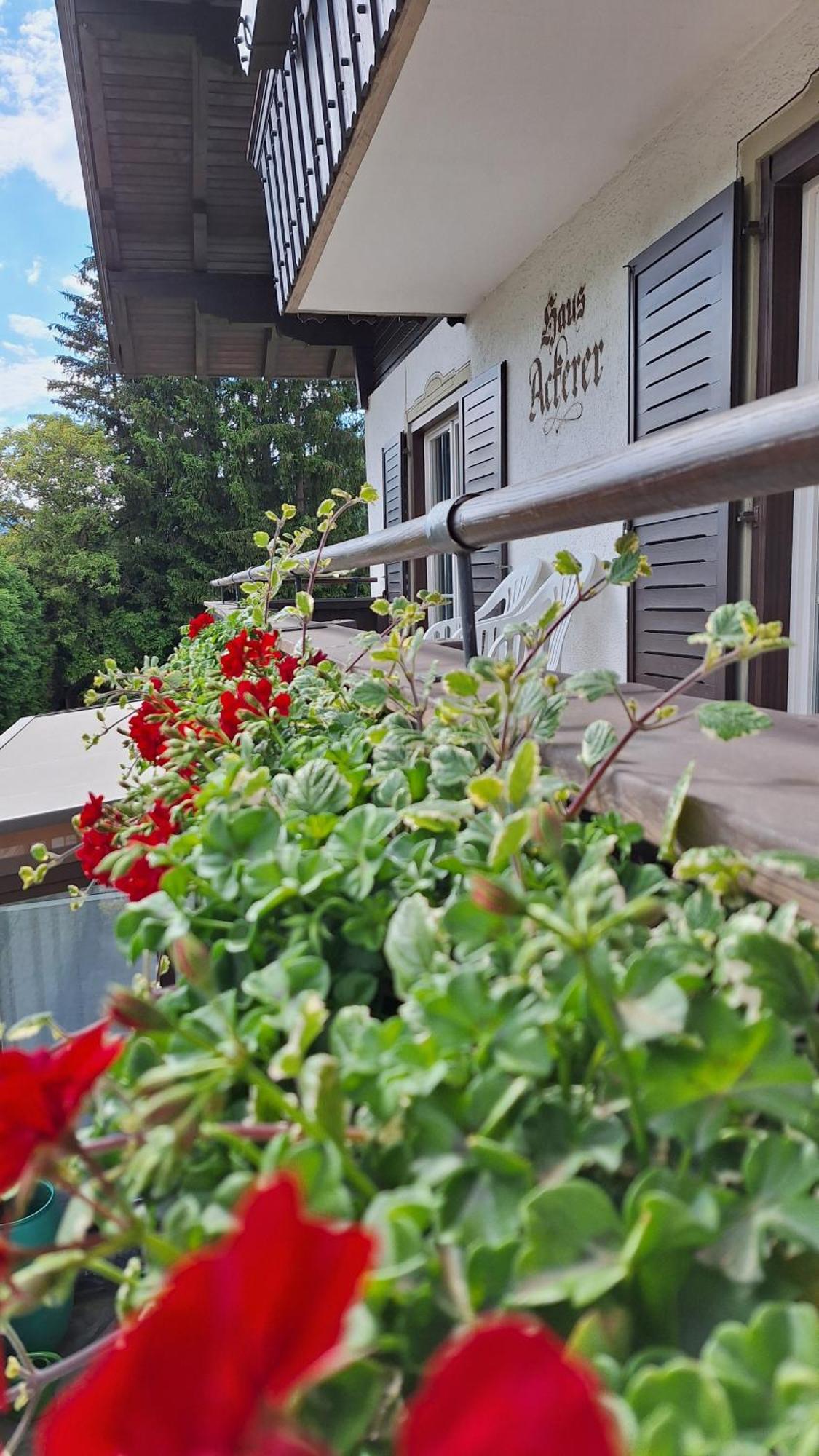 Haus Ackerer Leogang Exterior foto